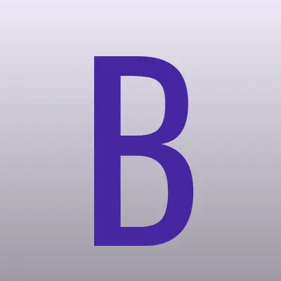 Боевое Братство, Всероссийская общественная организация ветеранов, лого-визитка