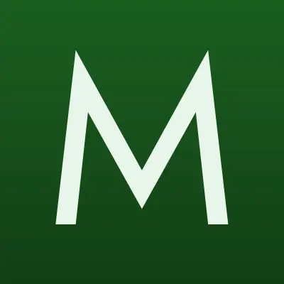 Мастерская по ремонту автоэлектрики, лого-визитка
