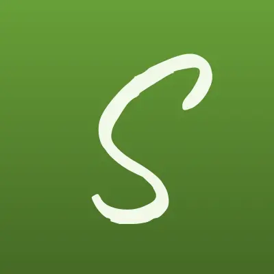 Симбирские технологии, IT-компания, лого-визитка